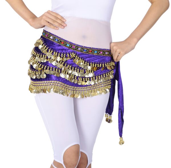 Whitewed Beaded Velvet Belly Dance Performance Coin Hip Scarf Scarves Wrap - Image 23