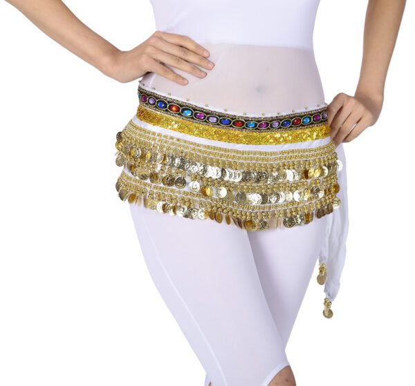 Whitewed Handmade Velvet Belly Dancer Hip Scarves Scarf Belt Skirts with Coin - Image 4