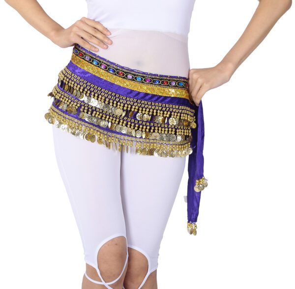 Whitewed Handmade Velvet Belly Dancer Hip Scarves Scarf Belt Skirts with Coin - Image 8