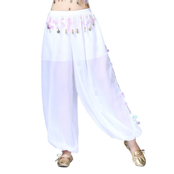 Whitewed Sheer Chiffon Belly Dance Harem Pants Bottoms with Leg Slits Side Tie