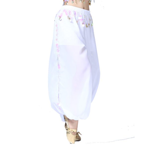 Whitewed Sheer Chiffon Belly Dance Harem Pants Bottoms with Leg Slits Side Tie - Image 3