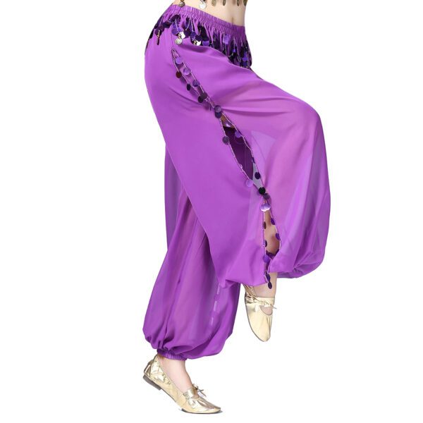 Whitewed Sheer Chiffon Belly Dance Harem Pants Bottoms with Leg Slits Side Tie - Image 5