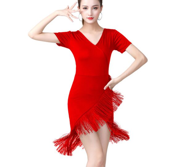 Salsa Ballroom Line Dance Lessons Practice Competition Dresses Attire Costumes V Neck Short Sleeve Fringe - Image 8